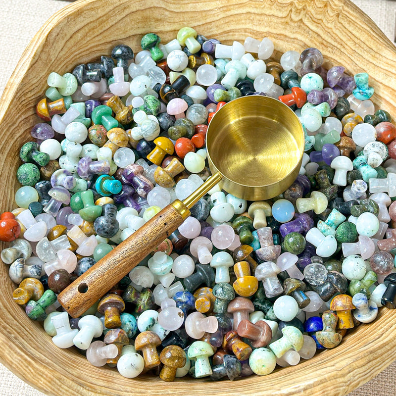Mini mushroom Scoop